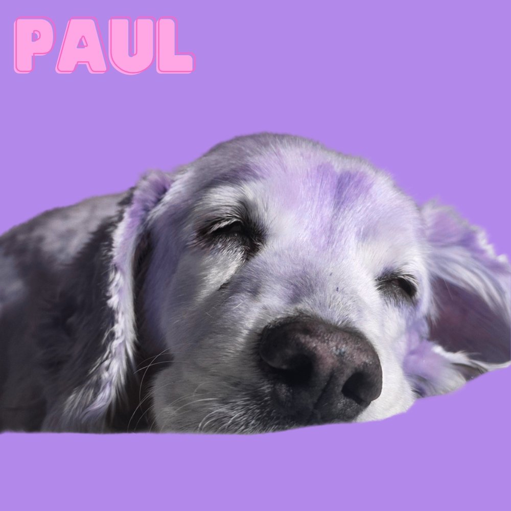 Paul
