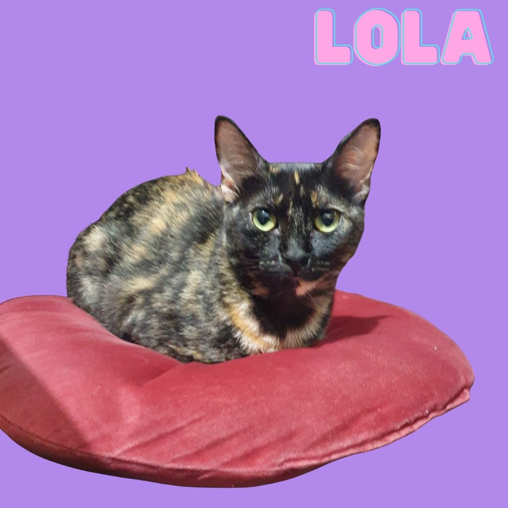 Lola