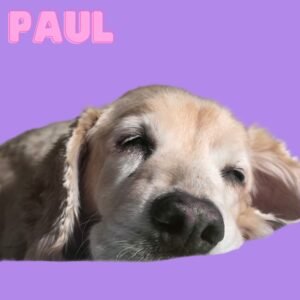 Corazón de Paul